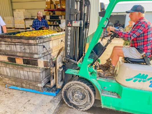 Hosmer Winery by null