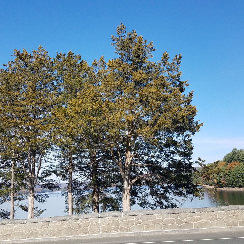 BARKHAMSTED RESERVOIR Updated September 2024 72 Photos & 10 Reviews