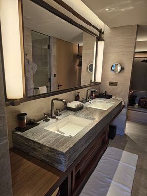 HOTEL THE MITSUI KYOTO, a Luxury Collection Hotel & Spa by null