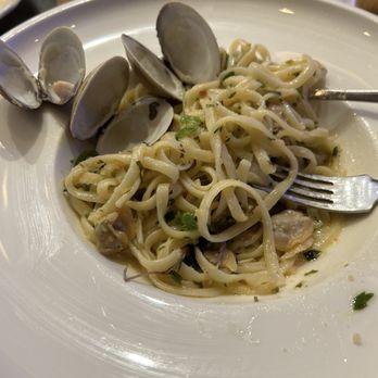 Cipresso - Clams sauce with linguine! - Italian Near Me - Hollywood, Florida