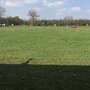Photo of Red Golf Moorfleet