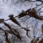 Photo of Parc de l'Ermitage-Compostelle