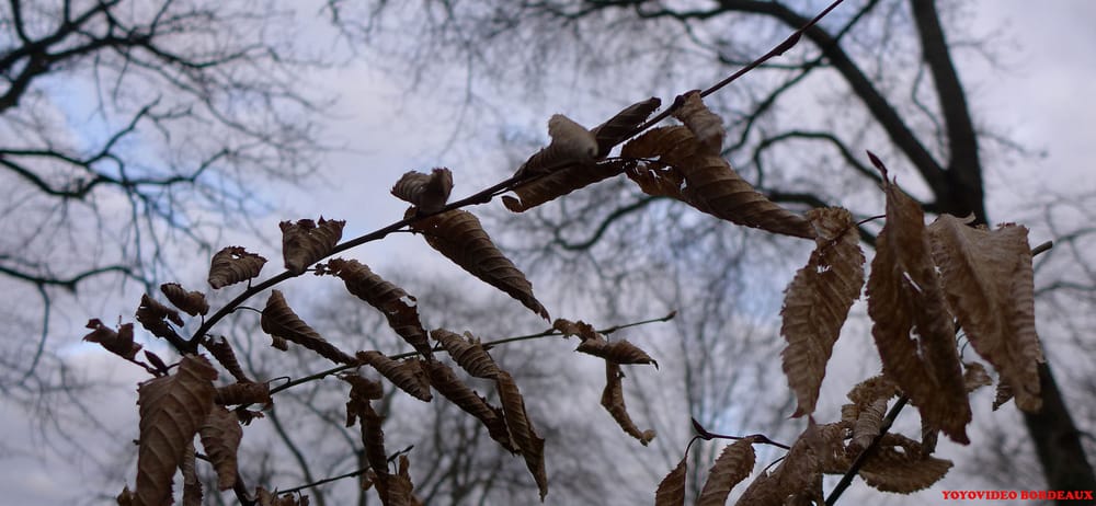 Parc de l'Ermitage-Compostelle