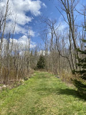 Mountain Top Arboretum by null