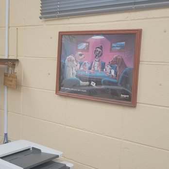 Dunkin Veterinary Hospital - Veterinarians Near Me - Cicero, Illinois