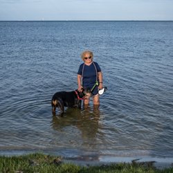 Dobie Ranch Rescue