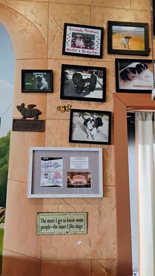 Kitty's Kafe by null