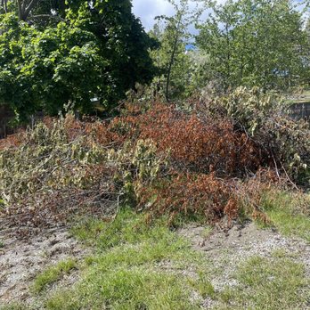 Goose's Dump and Material Hauling - Junk Removal & Hauling Near Me