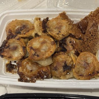 Dumplings To Go - Pan-fried beef dumplings - Chinese Near Me - Sunrise, Florida Dumplings To Go - Pan-fried beef dumplings - Chinese Near Me - Sunrise, Florida