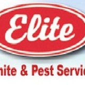 Tiger Paver Sealing Services - Masonry/Concrete Near Me Tiger Paver Sealing Services - Masonry/Concrete Near Me
