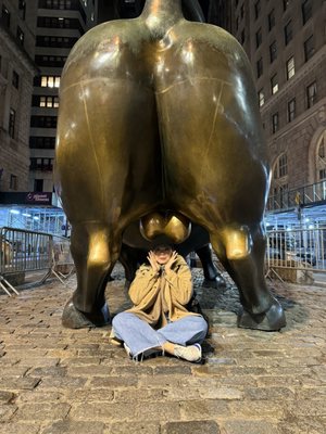 Charging Bull by null