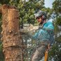 Goldfinch Tree Care