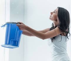 Slide of The Rescue Plumber