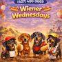 Photo of Universal Dog Care Orlando