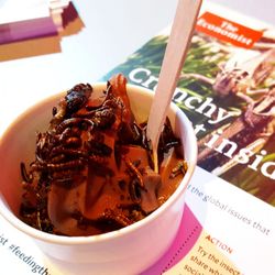 The Economist - Crunchy insects