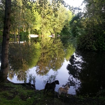 Hastings Park - So lovely and quiet - Parks Near Me - Vancouver, British Columbia