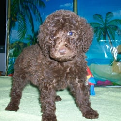 We Have Standards - brown girl at 7 weeks