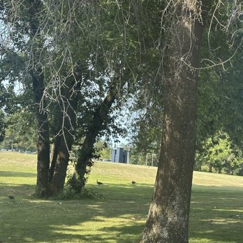 Willamette Park - Parks Near Me - Portland, Oregon Willamette Park - Parks Near Me - Portland, Oregon