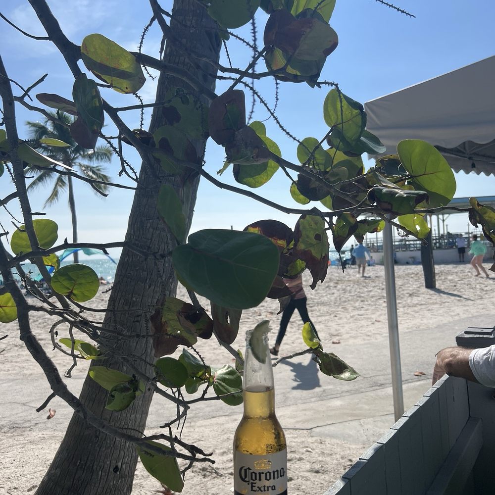 Salute On The Beach - Paradise - Italian Near Me - Key West, Florida Salute On The Beach - Paradise - Italian Near Me - Key West, Florida
