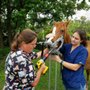 Photo of Equine Mobile Veterinary Services