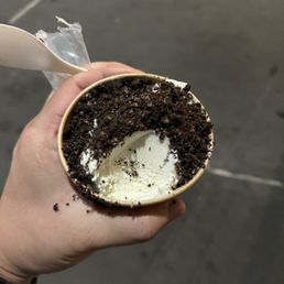 Vanilla Ice Cream