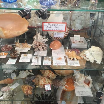 Capitola Seashells - Gift Shops Near Me - Capitola, California Capitola Seashells - Gift Shops Near Me - Capitola, California