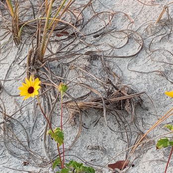 Madeira Beach - Beaches Near Me - Madeira Beach, Florida