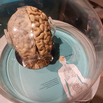 Science World - Museums Near Me - Vancouver, British Columbia