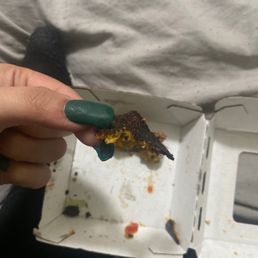 a piece of cheese a piece of cheese