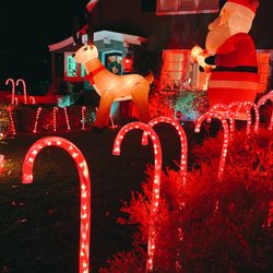 Candy Cane Lane