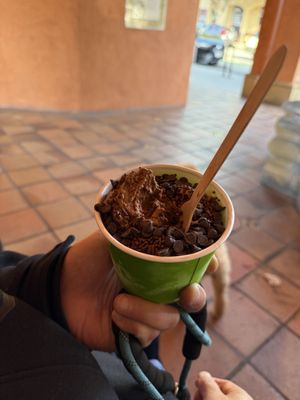 Frozen Fruit Co by null