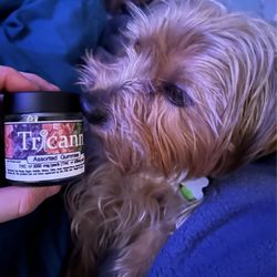 Tricann