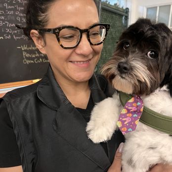 Wags 2 Whiskers - Max and Carolina  my Max feel in love with her !! - Pet Sitting Near Me - Culver City, California