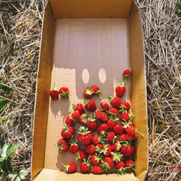 The start of my picking run :)
