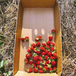 Blaser's Acres - The start of my picking run :)