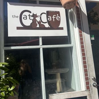 The Cat Cafe - Coffee & Tea Near Me - San Diego, California The Cat Cafe - Coffee & Tea Near Me - San Diego, California
