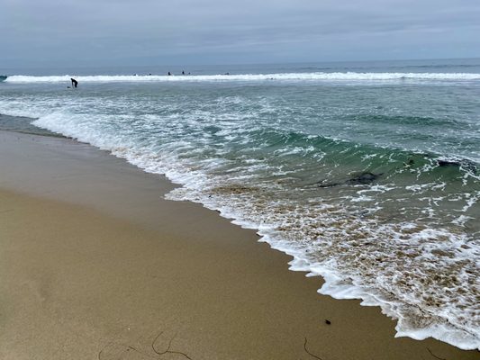 Malibu Lagoon State Beach by null