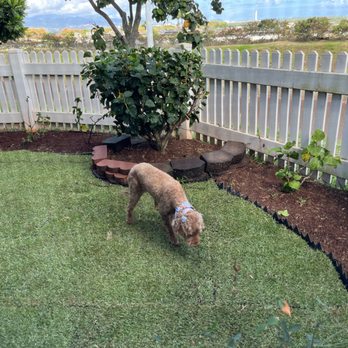 Mark's Zone - Even Angie loves it! - Lawn Services Near Me Mark's Zone - Even Angie loves it! - Lawn Services Near Me
