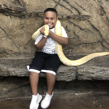 Jurassic Parties - Party & Event Planning Near Me - Fountain Valley, California Jurassic Parties - Party & Event Planning Near Me - Fountain Valley, California