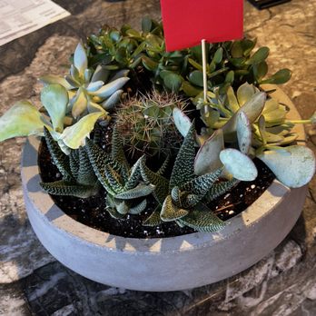 Camelback Flowershop - $300 for sloppily thrown together Home Depot plants - Florists Near Me - Phoenix, Arizona Camelback Flowershop - $300 for sloppily thrown together Home Depot plants - Florists Near Me - Phoenix, Arizona