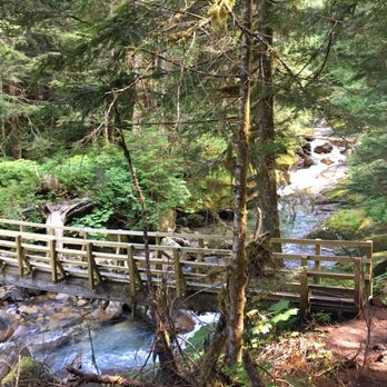 Slesse Memorial Trail - About half an hour into our hike. - Hiking Near Me - Chilliwack, British Columbia