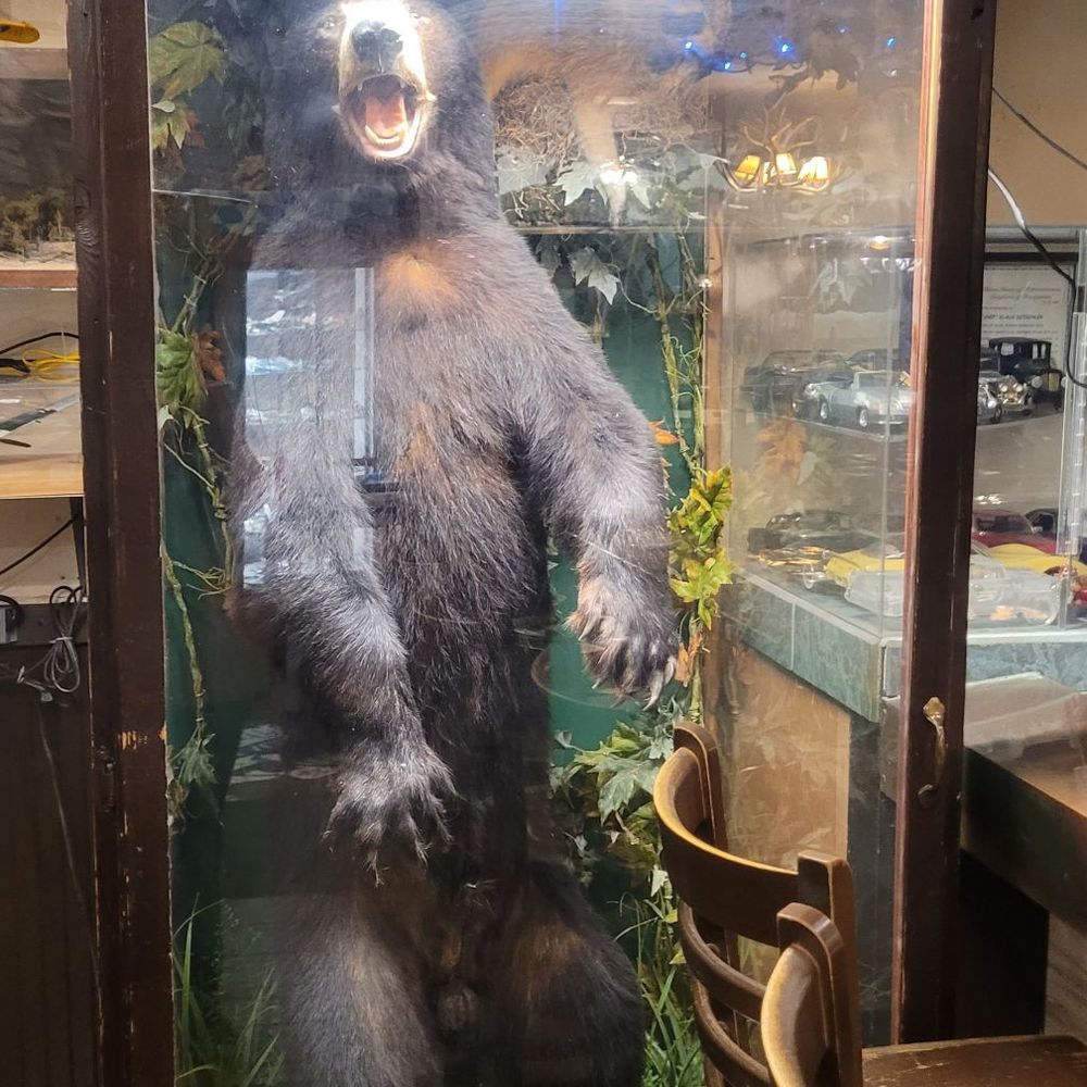 Full size bear! Full size bear!