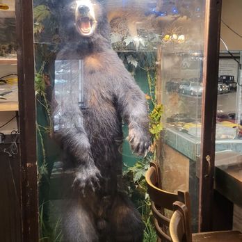 Chef Klaus' Bier Stube - Full size bear! - A glass display case features a taxidermy bear standing on its hind legs with its mouth open, surrounded by artificial plants and rocks. - German Near Me - Frankfort, Illinois