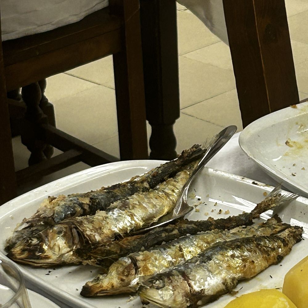 Cabrinha - Sardines - Wine Bars Near Me - Almada, 15
