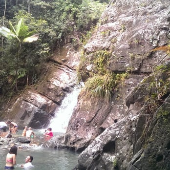 El Yunque Rainforest - Hiking Near Me - Luquillo, Puerto Rico
