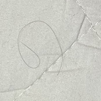 Athena Hotel - Pubic hairs found on unclean mattress pad. - Hotels Near Me - London, XGL