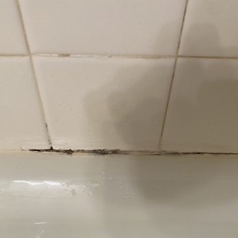 Regency Towers Condos - Mold in the guest shower - Vacation Rentals Near Me - Panama City, Florida