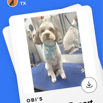 Furry Land Mobile Grooming - Pet Groomers Near Me Furry Land Mobile Grooming - Pet Groomers Near Me