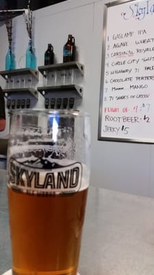Skyland Ale Works by null