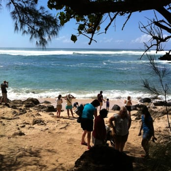 Laniakea Beach - Beaches Near Me - Haleiwa, Hawaii Laniakea Beach - Beaches Near Me - Haleiwa, Hawaii
